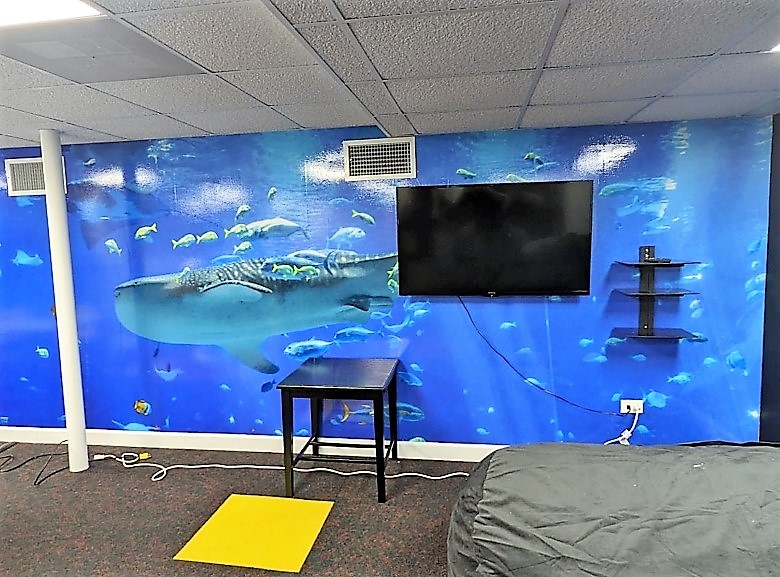 Wall Graphics